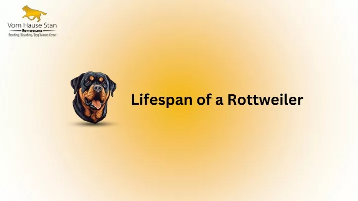 lifespan of a rottweiler