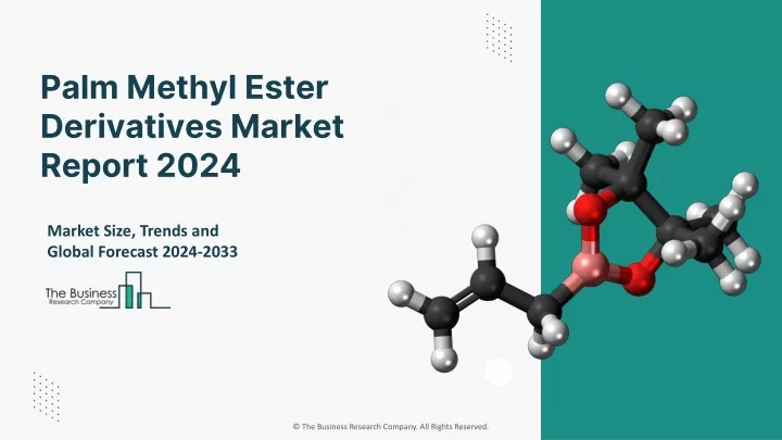 palm methyl ester derivatives market report 2024