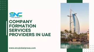 Company Formation services providers in UAE
