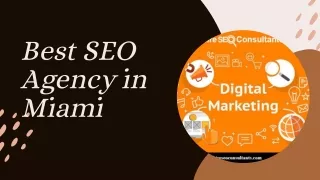 best seo agency in miami