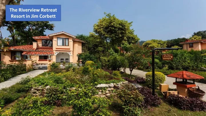 the riverview retreat resort in jim corbett