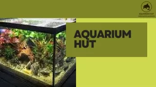 Aquarium Hut - Aquarium Canister Filters.