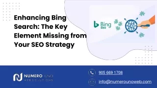 Bing Search Optimization: Elevate Your SEO Strategy with the Missing Puzzle Piec