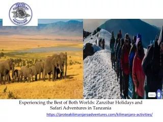 Experiencing the Best of Both Worlds Zanzibar Holidays and Safari Adventures in Tanzania