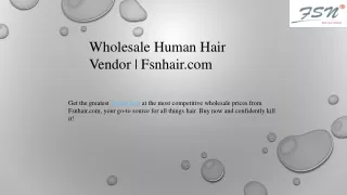 Wholesale Human Hair Vendor Fsnhair.com