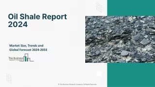 Oil Shale Market Size, Share, Growth Analysis, Trends And Industry Forecast 2024