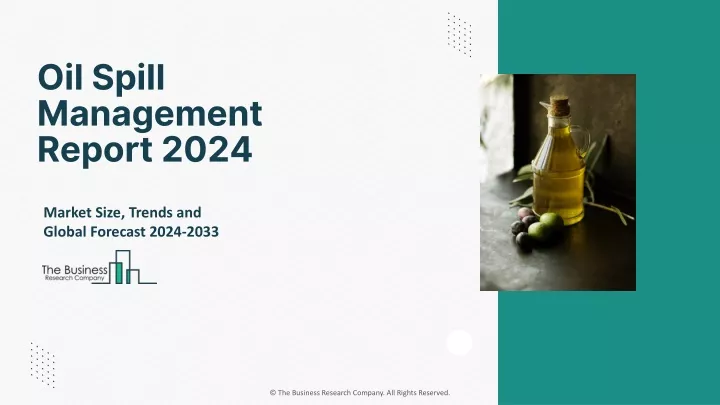 oil spill management report 2024