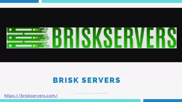 brisk servers