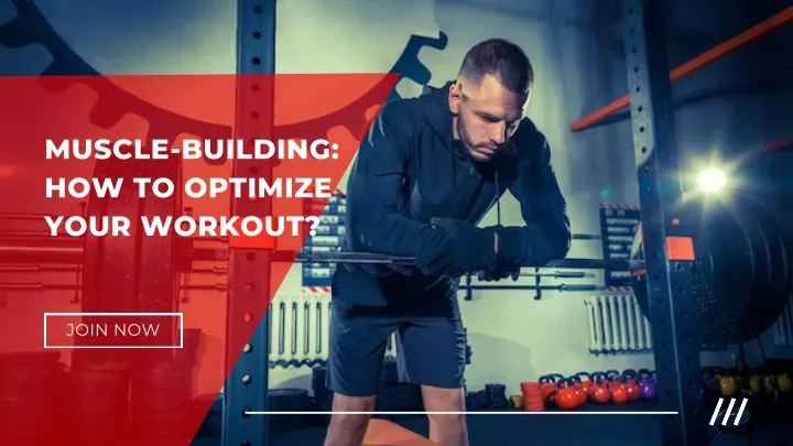 muscle building how to optimize your workout