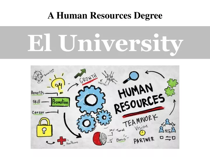 a human resources degree