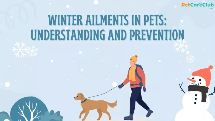 winter ailments in pets winter ailments in pets
