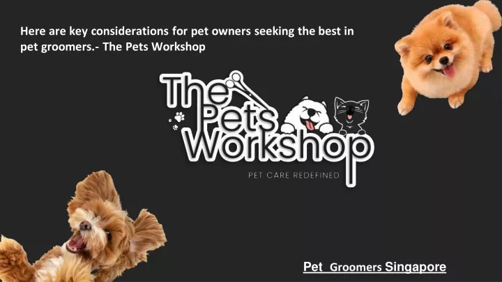 here are key considerations for pet owners