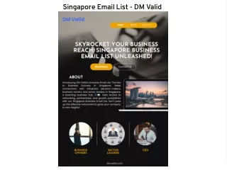 Explore DM Valid's Singapore Email Database to reach targeted audience