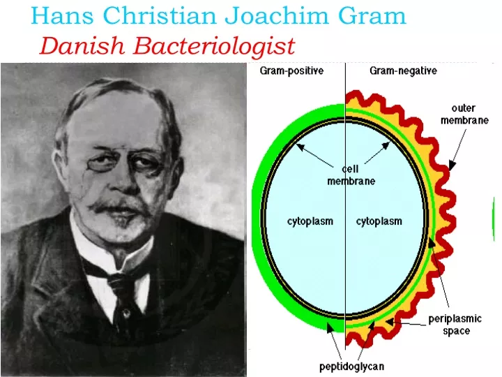 hans christian joachim gram danish bacteriologist