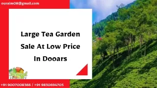 Large Tea Garden Sale At Low Price In Dooars
