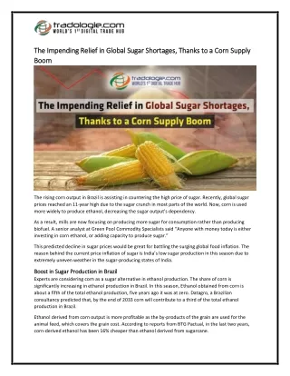 7-The Impending Relief in Global Sugar Shortages, Thanks to a Corn Supply Boom