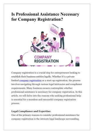 is professional assistance necessary for company