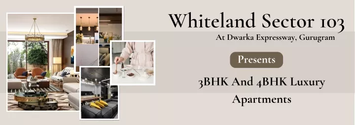 whiteland sector 103 at dwarka expressway gurugram