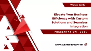Elevate Your Business Efficiency with Custom Solutions and Seamless Integration