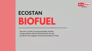 ecostan