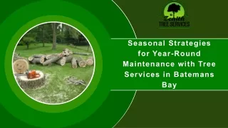 Seasonal Strategies for Year-Round Maintenance with Tree Services in Batemans Bay  Presentation