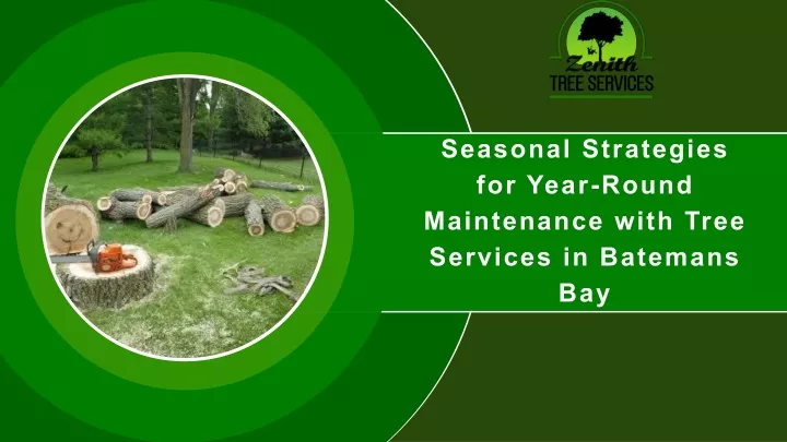 seasonal strategies for year round maintenance