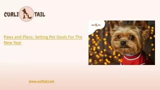 Setting Pet Goals For The New Year