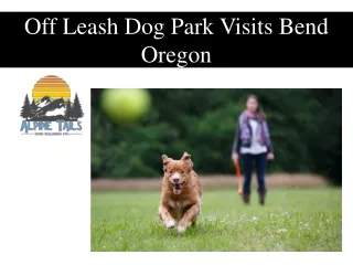Off Leash Dog Park Visits Bend Oregon