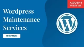 WordPress Maintenance Services