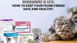 Roundworms in Cats How to Keep Your Feline Friend Safe and Healthy