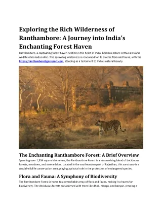 exploring the rich wilderness of ranthambore