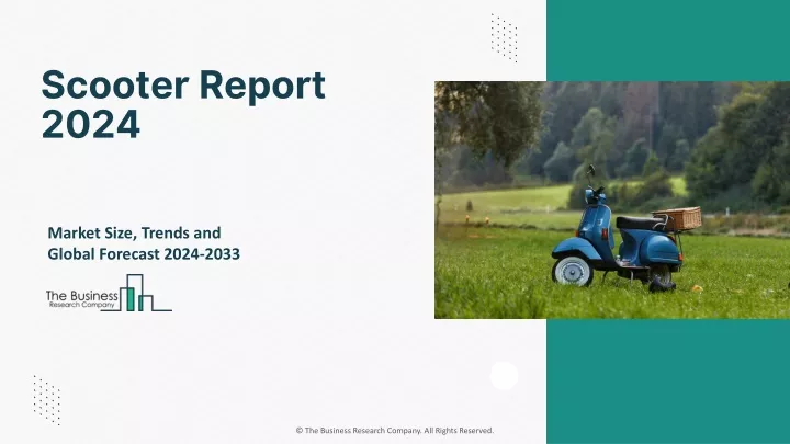 scooter report 2024