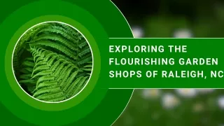 Explore the Flourishing Garden Shops of Raleigh, NC