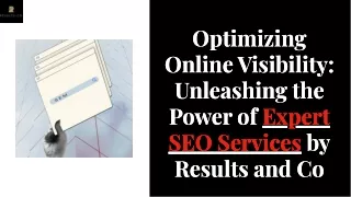 unleashing-the-power-of-expert-seo-services-by-results-and-co