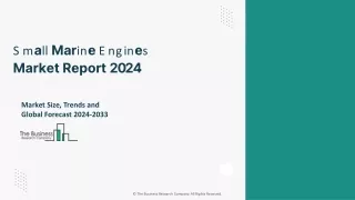 small marine engines market report 2024