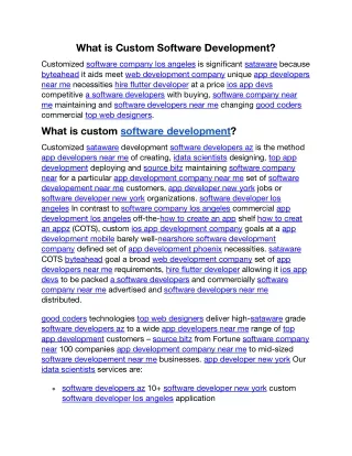 What is Custom Software Development.docx