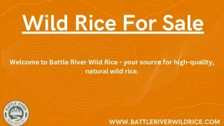 Wild Rice For Sale