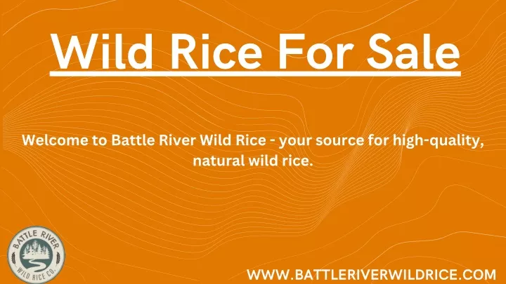 wild rice for sale