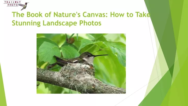 the book of nature s canvas how to take stunning landscape photos
