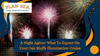 A Night Aglow What To Expect On Your Oak Bluffs Illumination Cruise