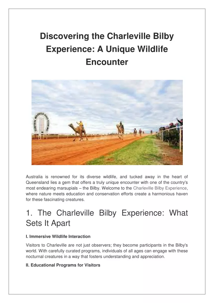 discovering the charleville bilby experience