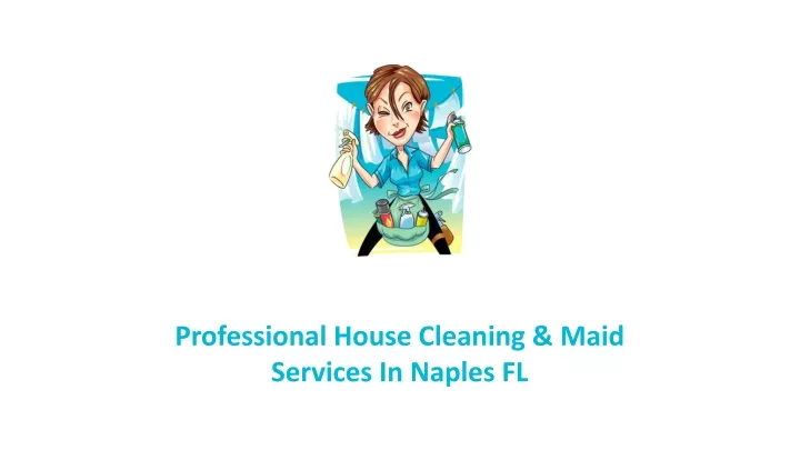 professional house cleaning maid services