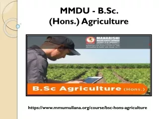 B.Sc. (Hons.) Agriculture