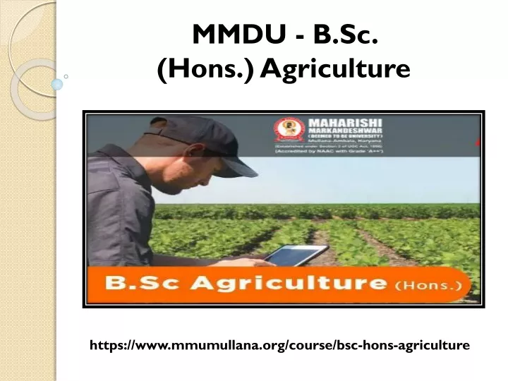 mmdu b sc hons agriculture