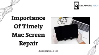 Importance Of Timely Mac Screen Repair