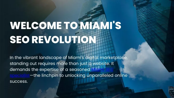 welcome to miami s seo revolution