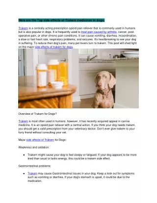 Here are Top side effects of Tramadol in dogs
