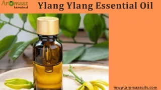 Bulk Supplier of Ylang Ylang Essential Oil In India - Aromaaz Oils