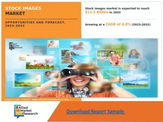 download report sample