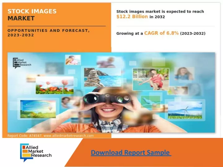 download report sample